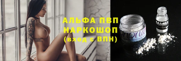 гашик Армянск