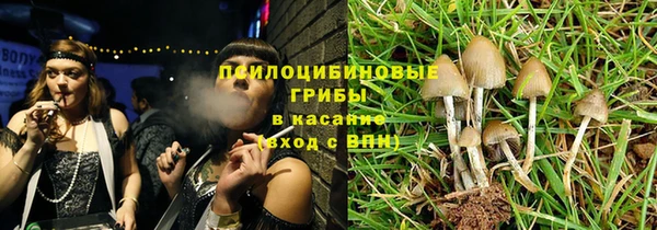 ПСИЛОЦИБИНОВЫЕ ГРИБЫ Алексеевка