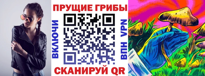 магазин продажи наркотиков  Петровск  Псилоцибиновые грибы Magic Shrooms 
