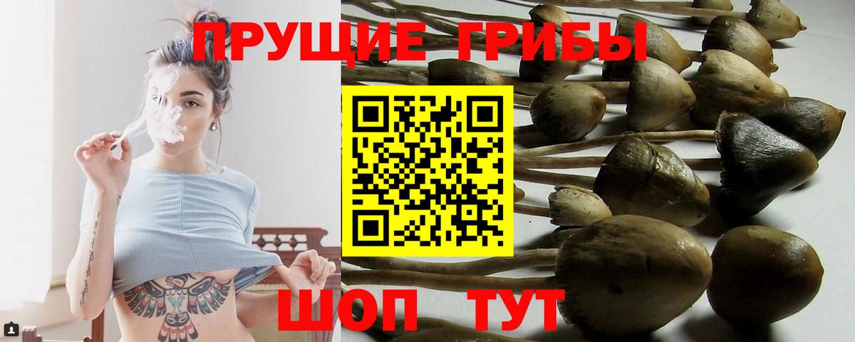 Петровск  Галлюциногенные грибы GOLDEN TEACHER  Вход с VPN 